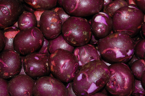 Purple Viking Potatoes