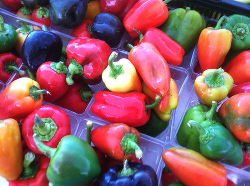 Bell Peppers- Green, Red, Yellow