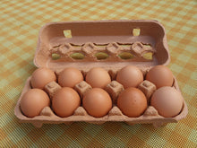 Certified Organic Pasture Raised Eggs