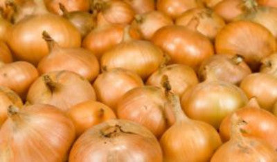 Sweet Yellow Onions